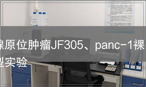 胰腺原位腫瘤JF305、panc-1裸鼠模型實(shí)驗(yàn)